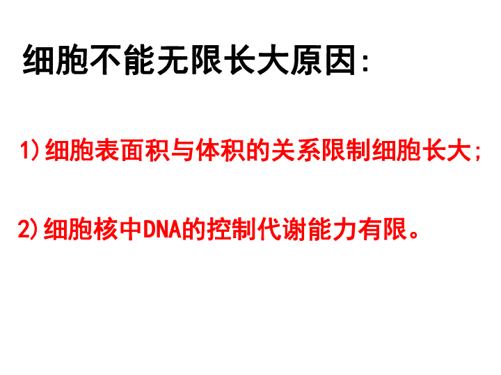 人教版高中生物必修一课件：6.1细胞增殖课件