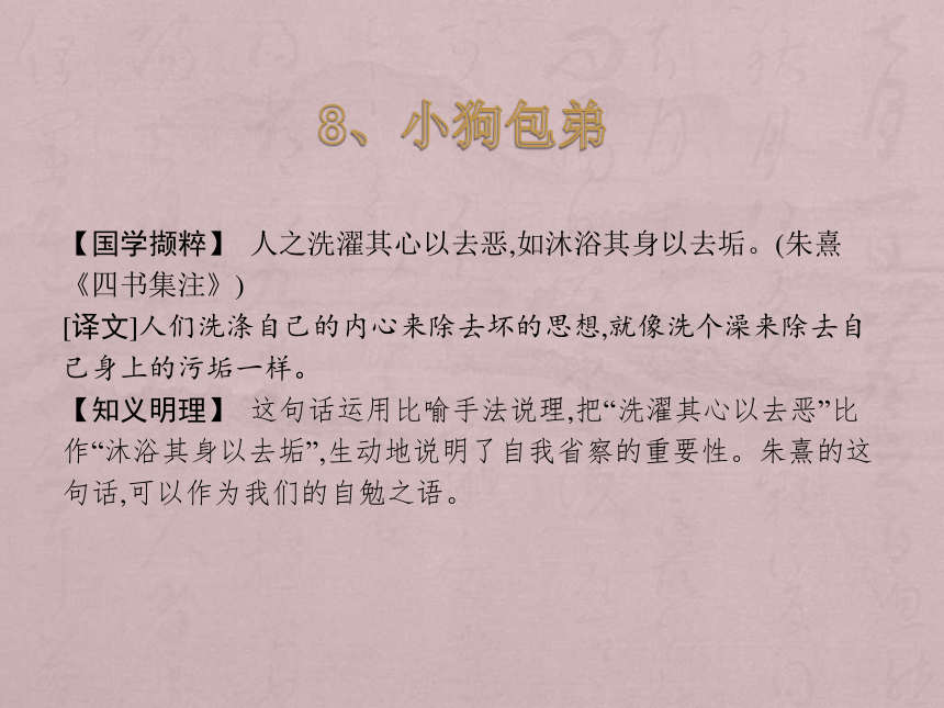 2018-2019学年高一语文人教版必修一课件：8 小狗包弟