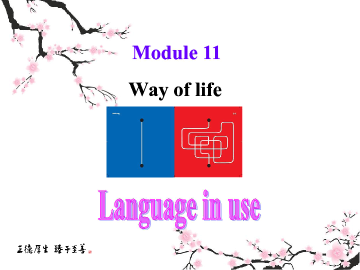 Module 11 Way of life Unit 3 Language in use 情态动词语法课件(共26张PPT)