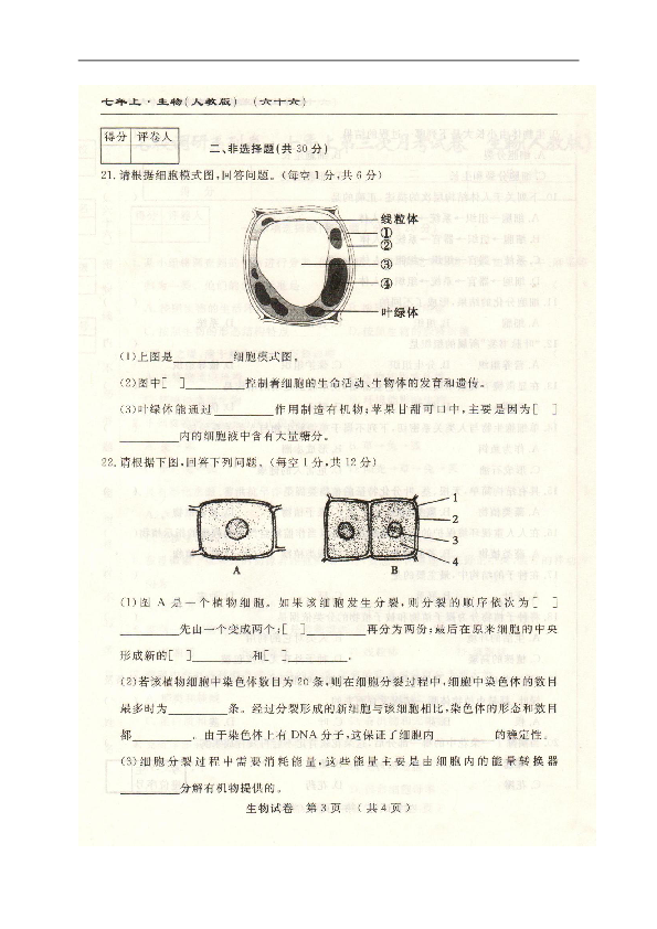 吉林省长春市名校调研（市命题六十六）2018-2019学年七年级上学期第三次月考生物试题（扫描版，含答案）