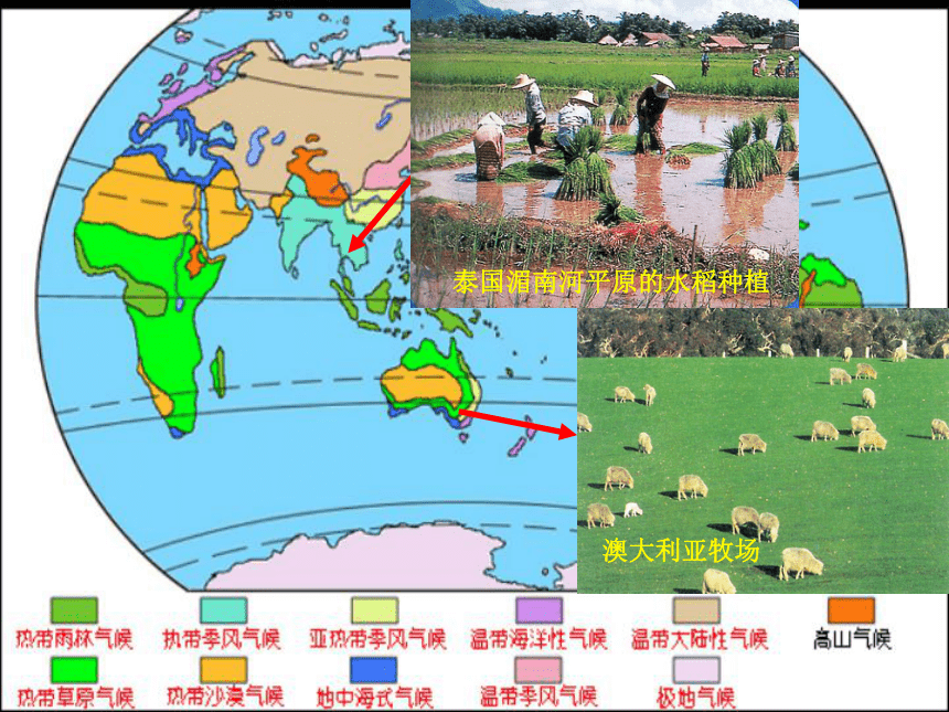 甘肃省兰州新区舟曲中学（人教版）高一地理必修二课件：第三章  农业地域的形成与发展 (共24张PPT)