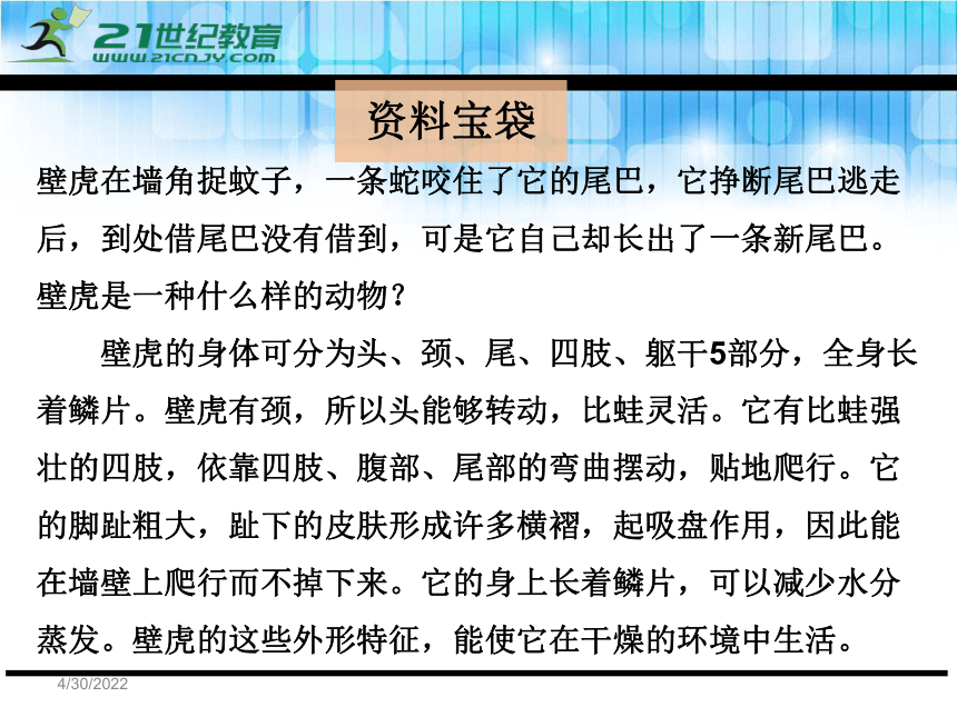 10飞檐走壁的虎将 课件