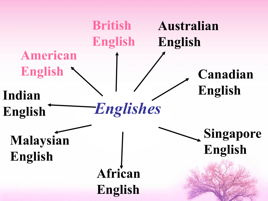 Unit 2 English around the world  Warming up & writing课件（30张）