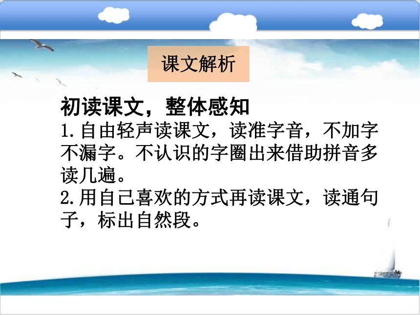 17   一群光头男孩儿课件