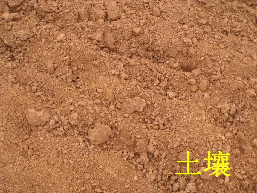 2016秋冀教版科学三上第7课《土壤的保护》ppt课件