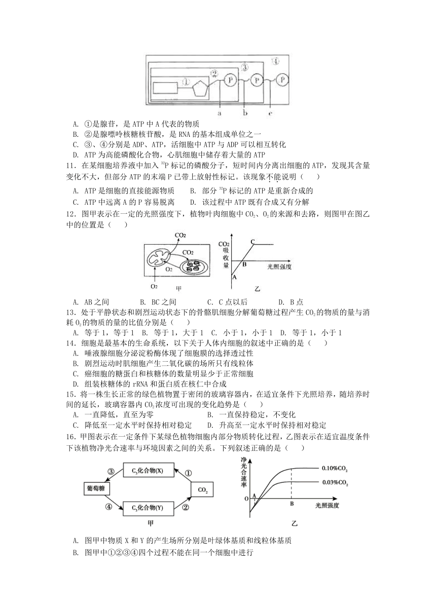 河北省深州市2016-2017学年高一生物下学期期中试题