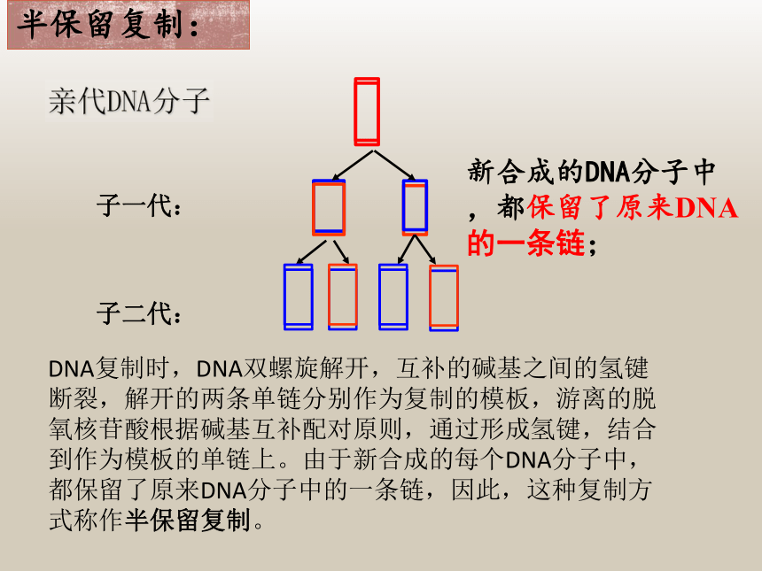 人教版高中生物必修二課件dna的複製28張