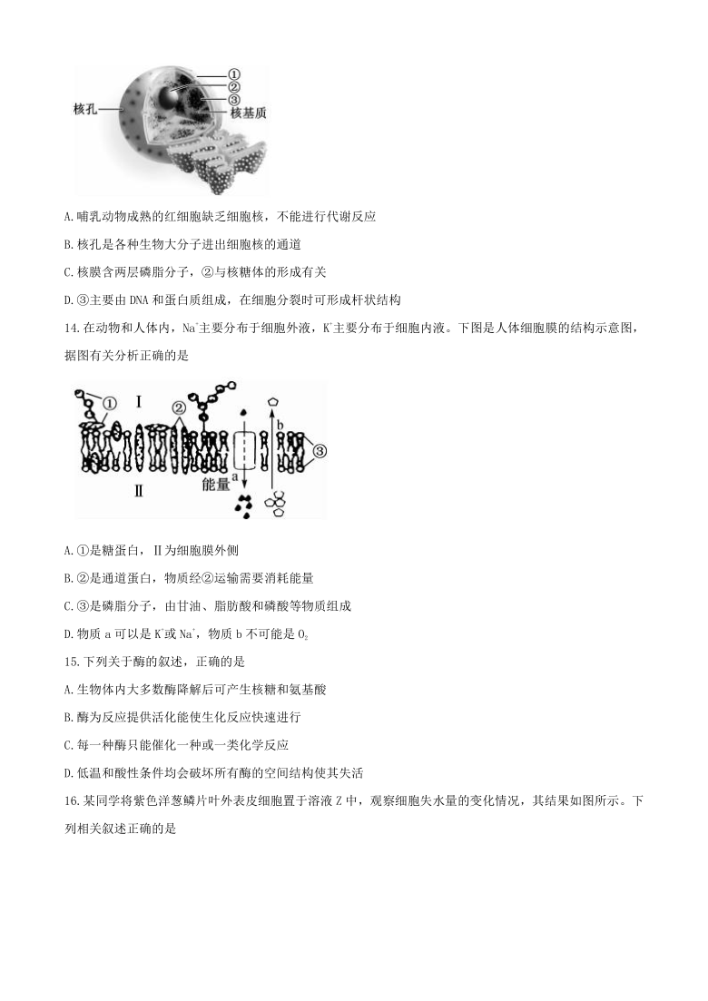 黑龙江省齐齐哈尔市2020-2021学年高一上学期期末考试生物试题  含答案