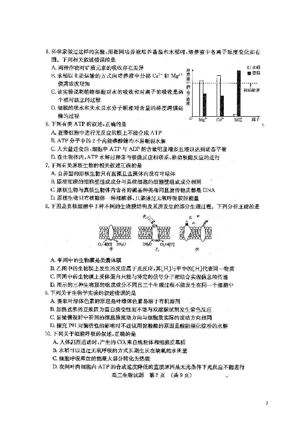 山东省济南市2020届高三上学期期末考试生物试题 (扫描版)