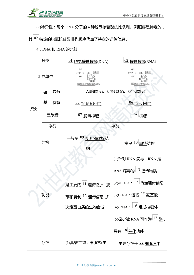 【备考2022一轮学案】第1单元　第4讲　核酸、糖类和脂质（含解析）