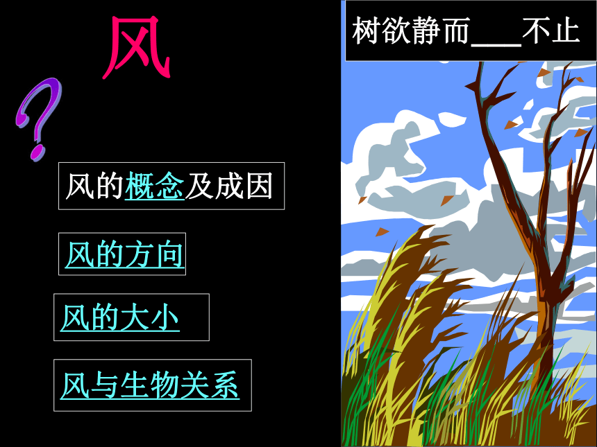 第2章 地球的“外衣”-大气》第五节 风