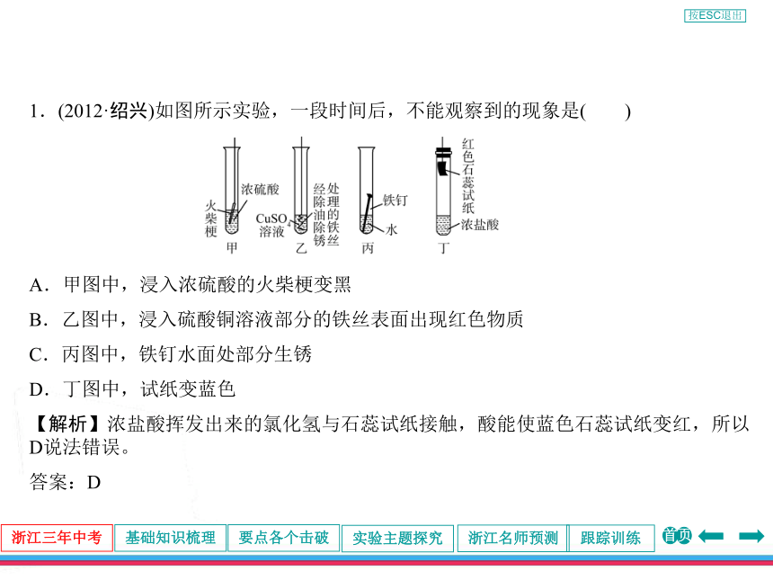 2013年浙江中考第一轮复习化学部分第八章金属