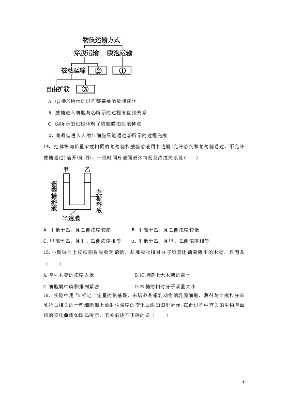 河北省武邑中学2018-2019学年高一上学期期末考试生物试题