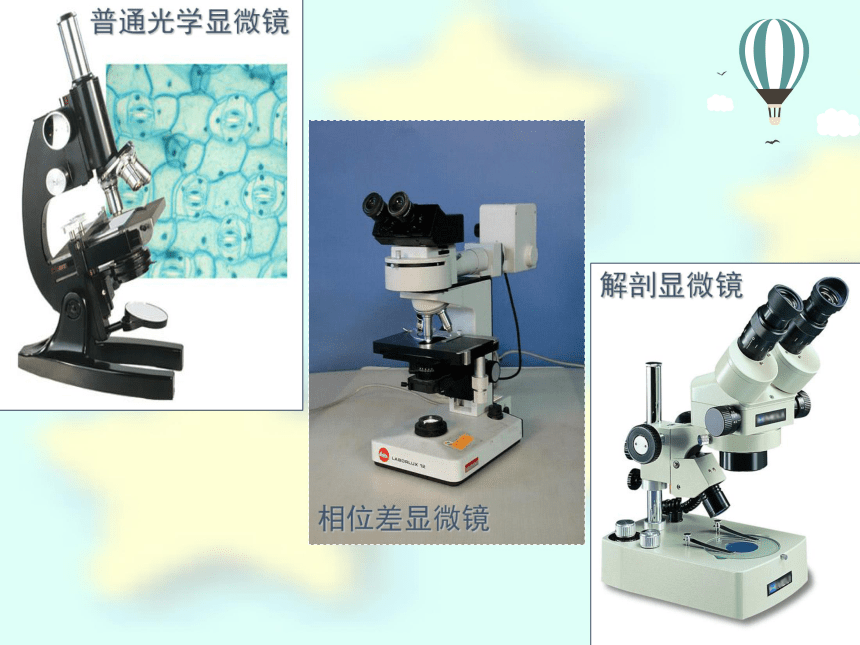 探索生命的器具（38张PPT)