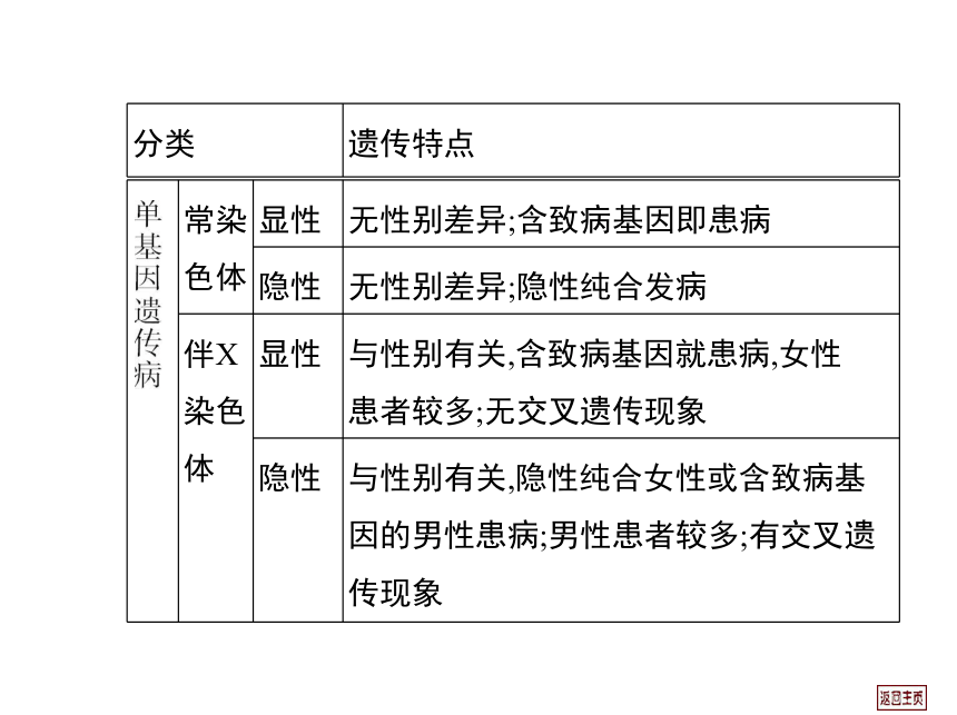 2014届高三生物一轮复习课件： 7.2 人类遗传病