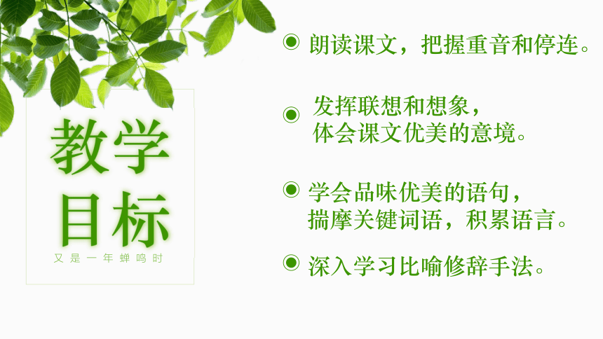 《春》课件(共28张PPT)