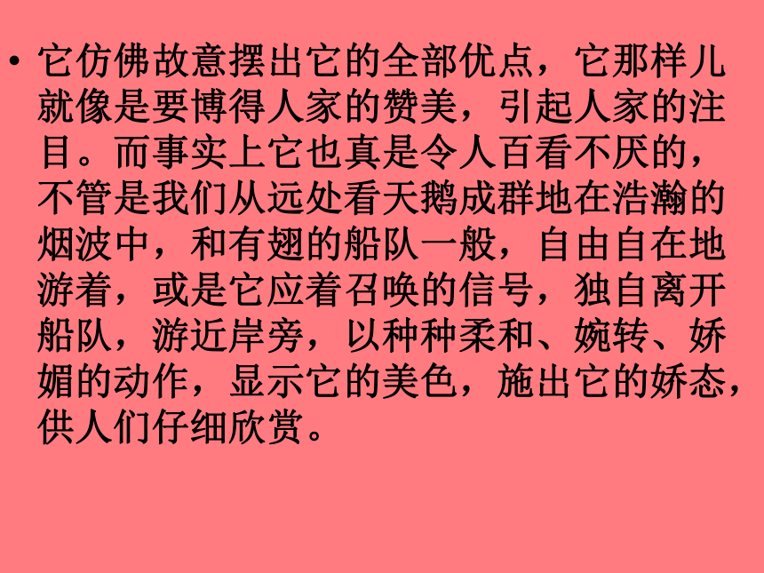 《天鹅》课件   (共22张PPT)