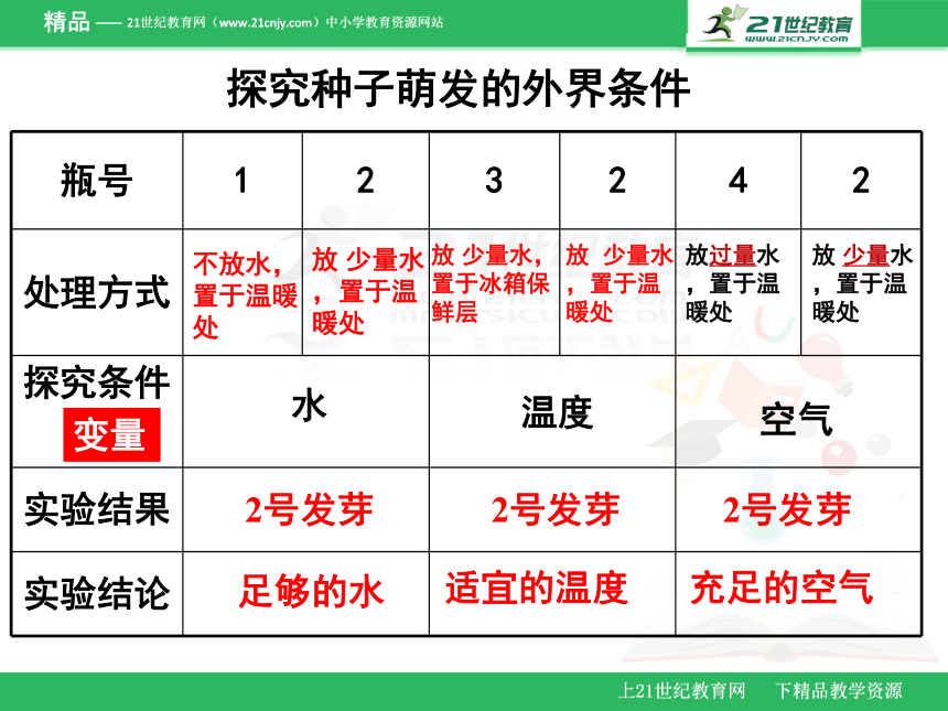 2018年广东省生物会考 七年级上册复习课件《三单元复习》课件