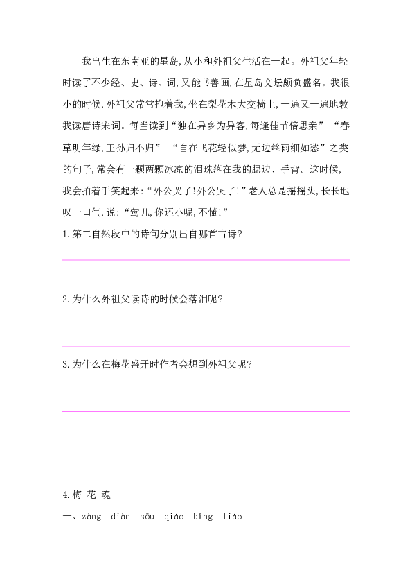 4.梅 花 魂  课后作业（含答案）