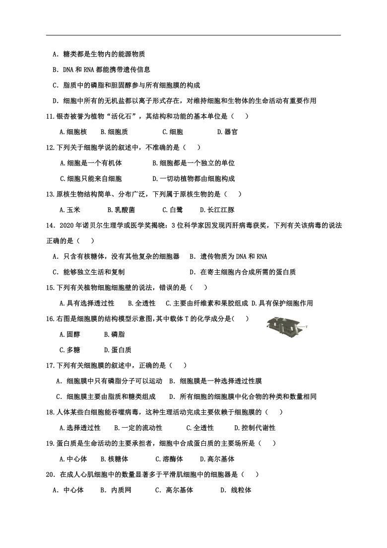 江苏省修远中学、泗洪县洪翔中学2020-2021学年高二上学期第一次联考生物（必修）试题