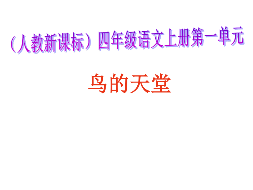 《鸟的天堂》课件  (共20张PPT)