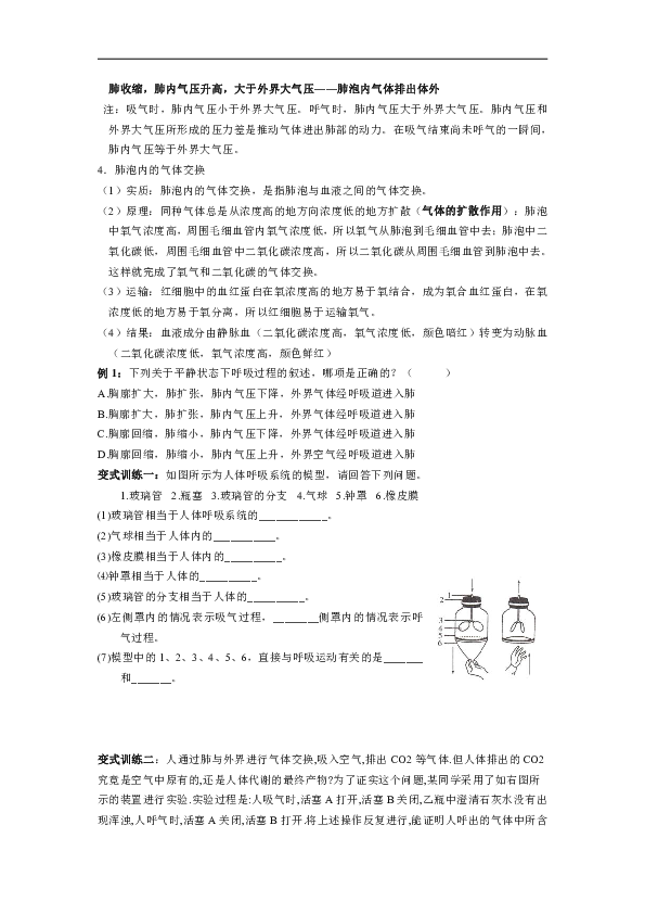 浙教版八年级下册科学 第三章 第5课时 生物的呼吸和呼吸作用 讲义（含解析）（教育机构专用）
