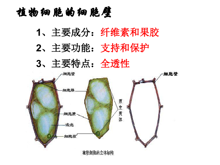 2019年秋人教版高中生物必修1第3章 细胞的基本结构 第1节 细胞膜——系统的边界(共46张PPT)