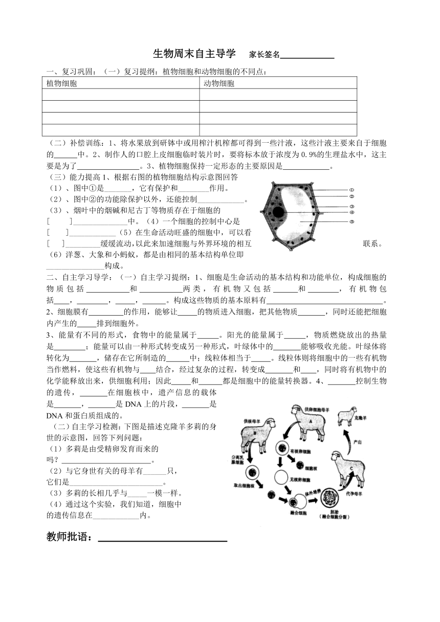 生物周末自主导学1