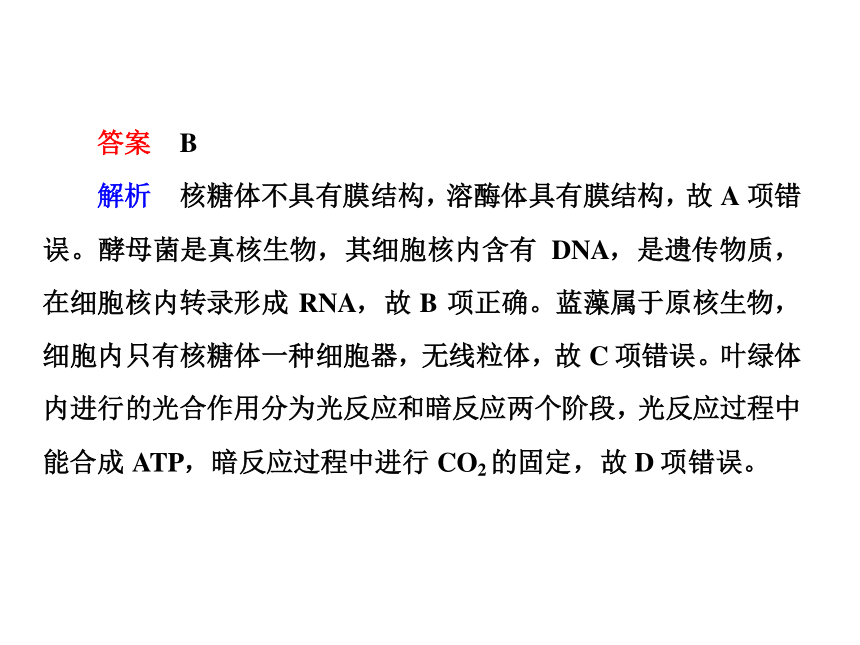 2018年高考生物二轮复习专题1组成细胞的分子课件(86张PPT)