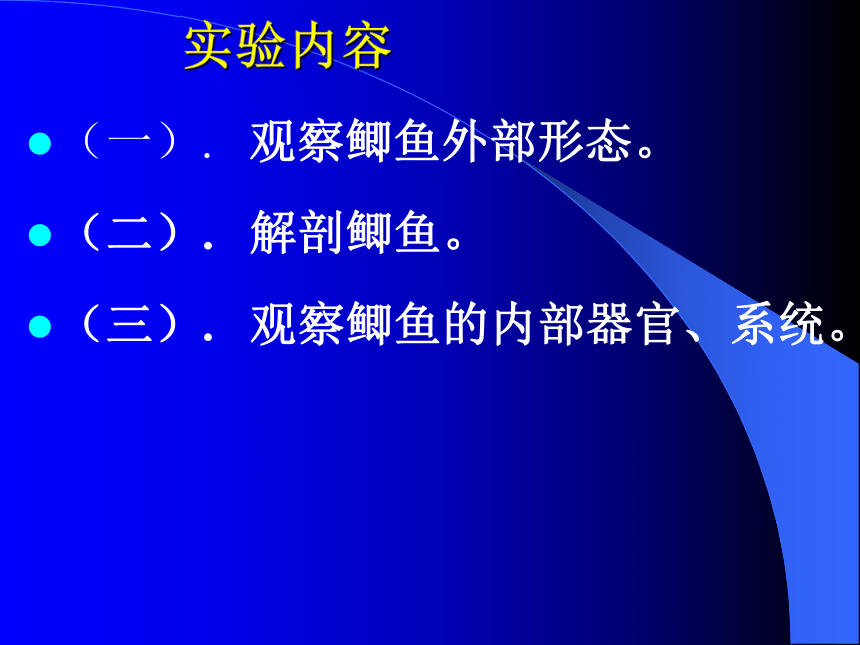 422观察和解剖鲫鱼实验课件30张