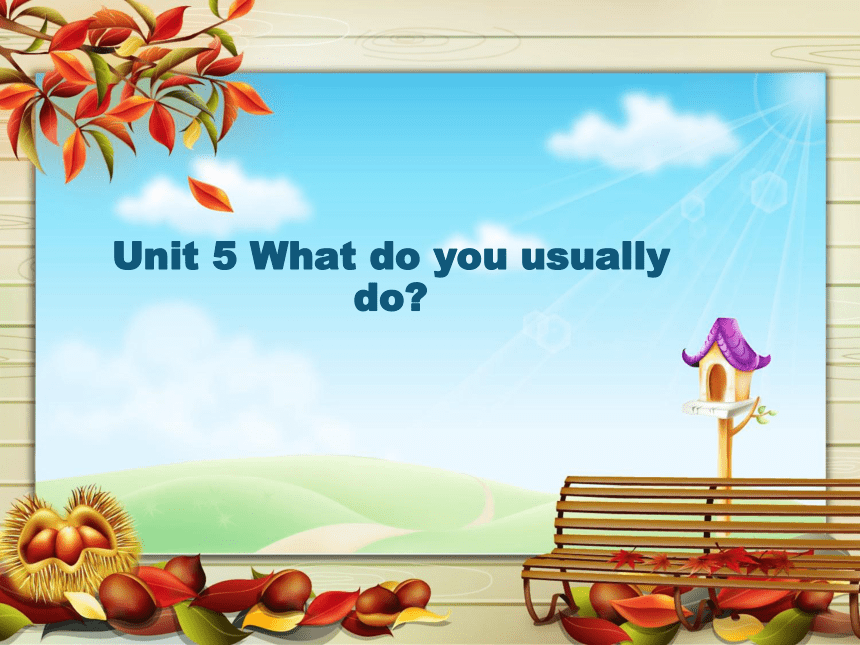 Unit 5 What do you usually do？课件