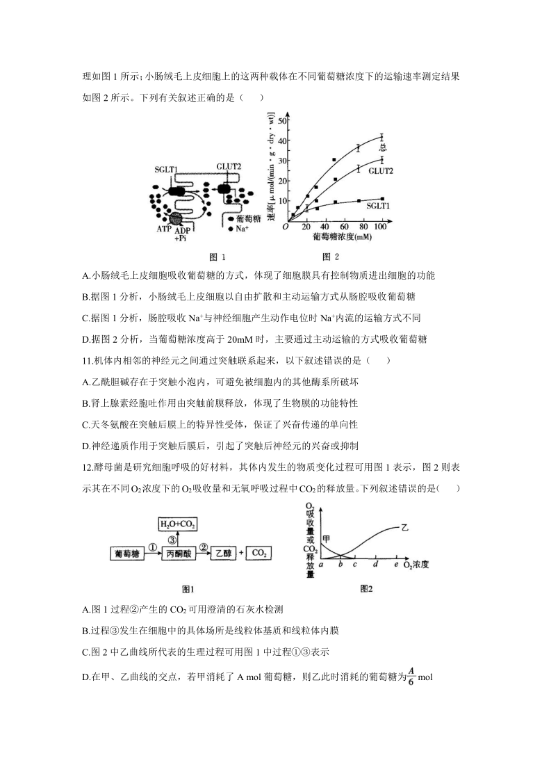 2021届高三下学期5月高考生物终极猜题卷 新高考版 江苏地区专用      含解析