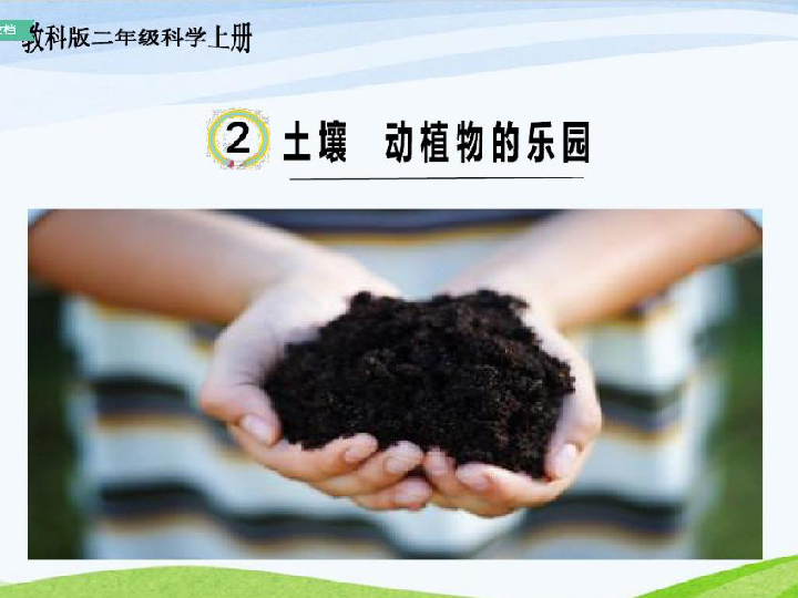 2.土壤——动植物的乐园 课件(共20张PPT)