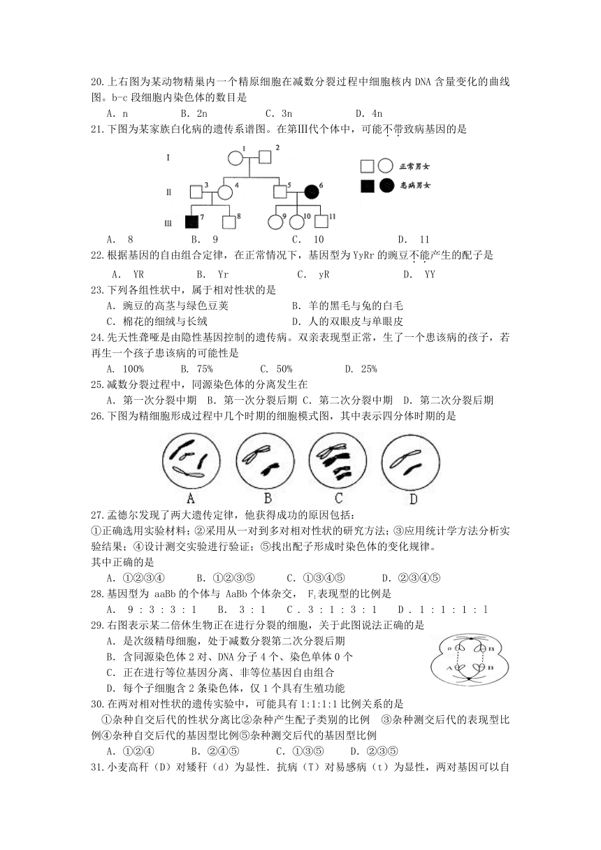 江苏南莫中学高一生物月考试卷201103