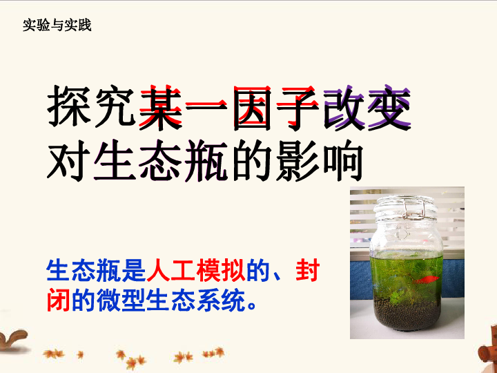 5.3 生态系统的稳定性——探究某一因子改变对生态瓶的影响 课件(共12张PPT)