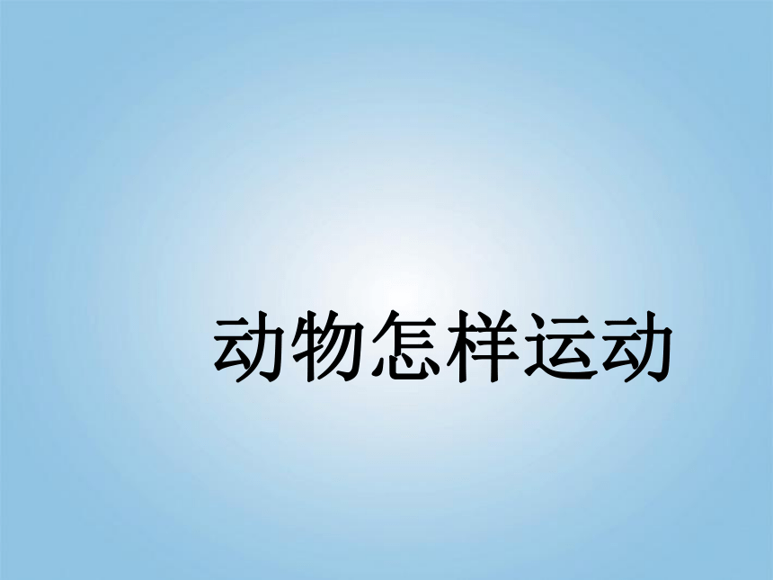 小学科学  鄂教版  五年级下册  第一单元  3.动物怎样运动 课件