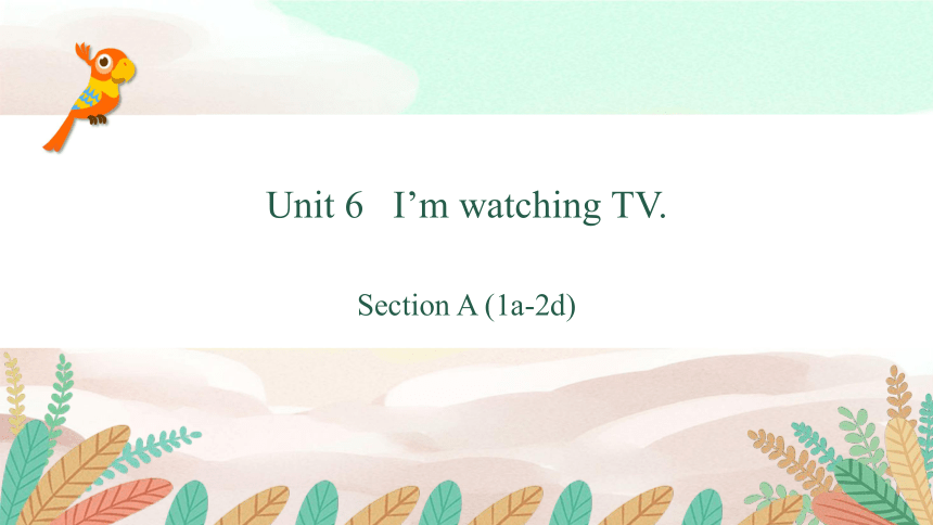 Unit 6 I’m watching TV. Section A（1a-2d）课件(共52张PPT)