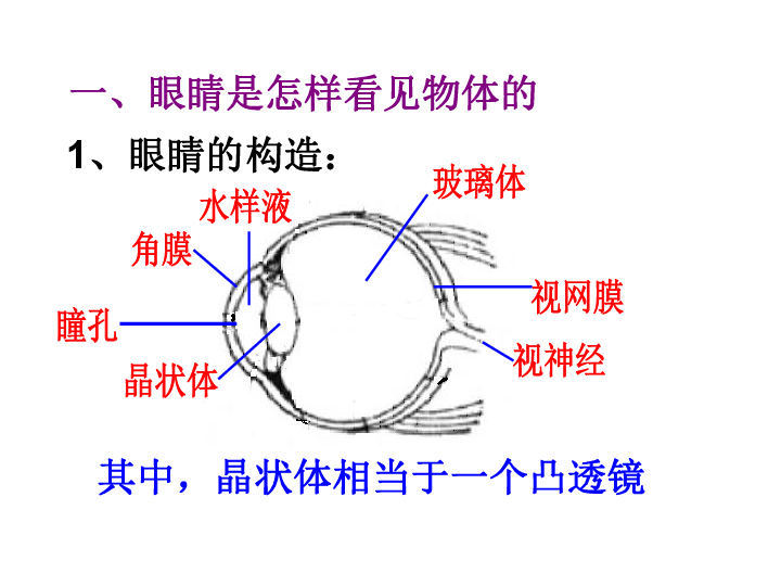 沪粤版八年级上册物理  3.7 眼镜与光学仪器 课件   (共27张PPT)