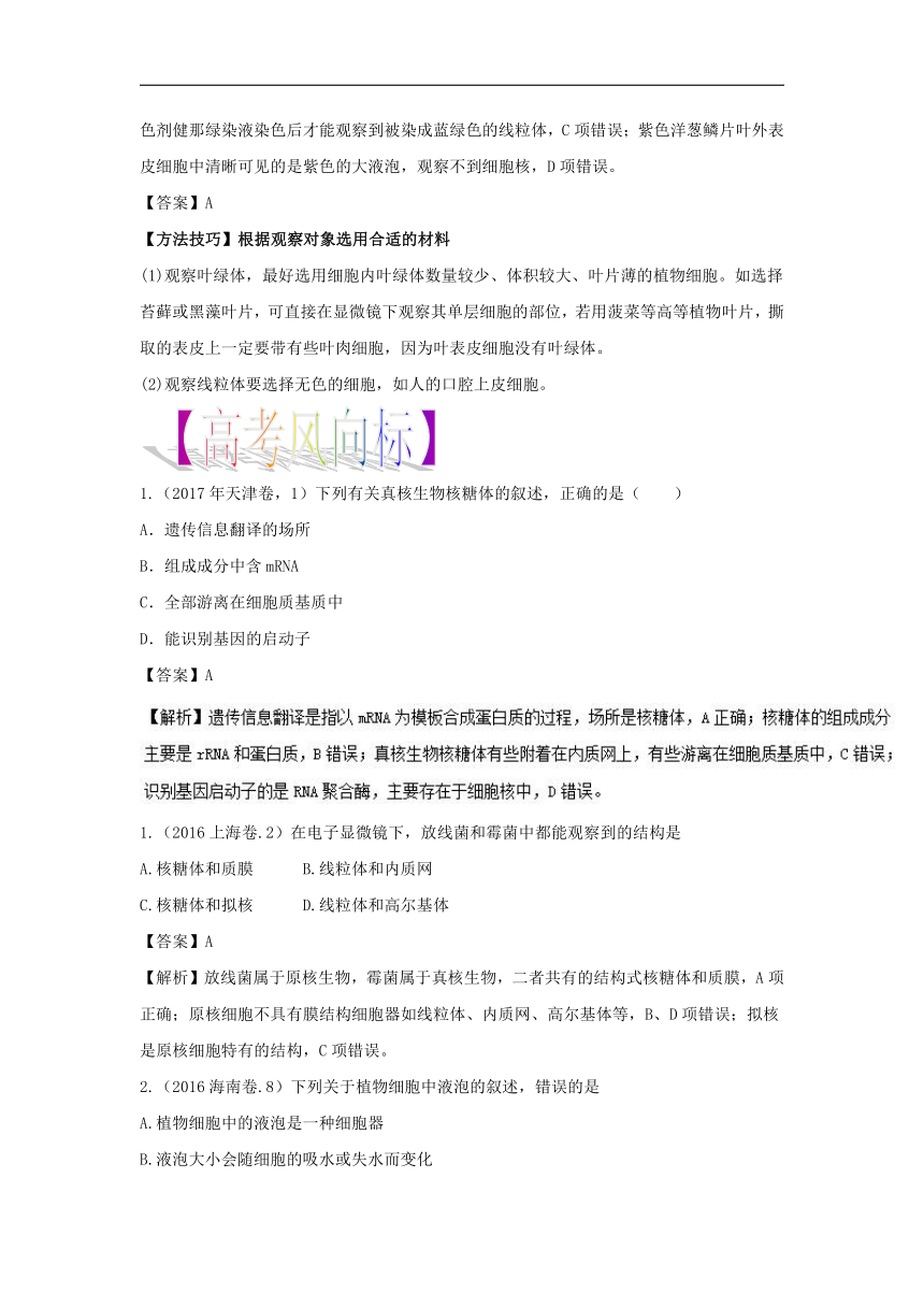 高考冲刺2018届高考生物题型难点突破：专题06 细胞器——系统内的分工合作