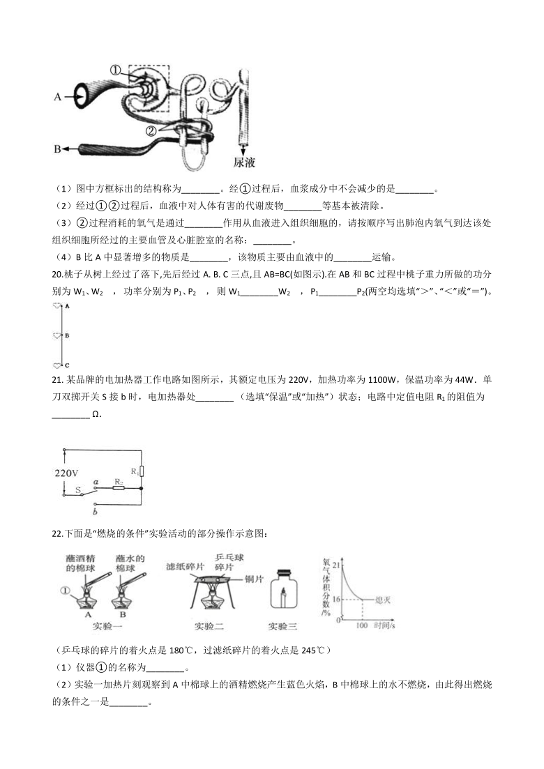 浙江省宁波市2021年中考科学预测试卷(含解析 非中考常规试卷)