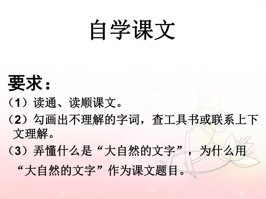 《大自然的文字》课件