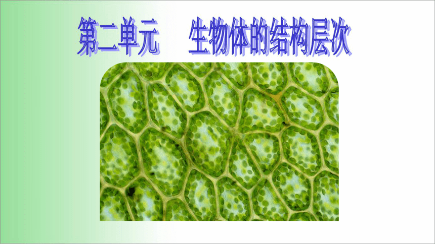 2021——2022学年人教版七年级生物上册2.1.1 练习使用显微镜 课件（15张PPT）