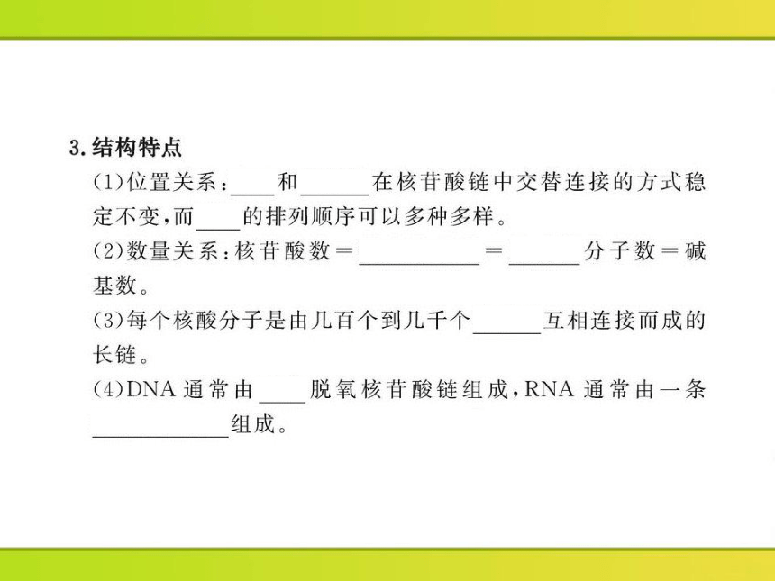 高中生物课时讲练通配套课件：2.2.3《核酸的结构和功能》（苏教版必修1）