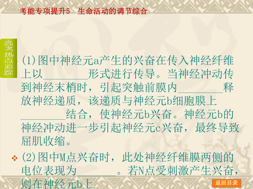 【新课标人教通用，一轮基础查漏补缺】考能专项提升5 生命活动的调节综合 （61ppt）