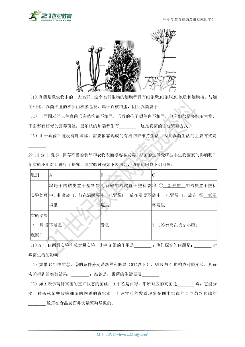 人教版生物八年级上册5.4.3真菌课时同步测试