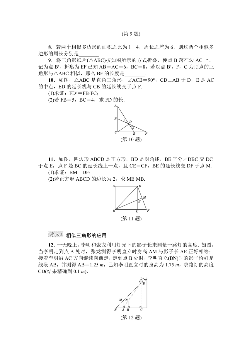 第27章 相似 专项训练2（含答案）