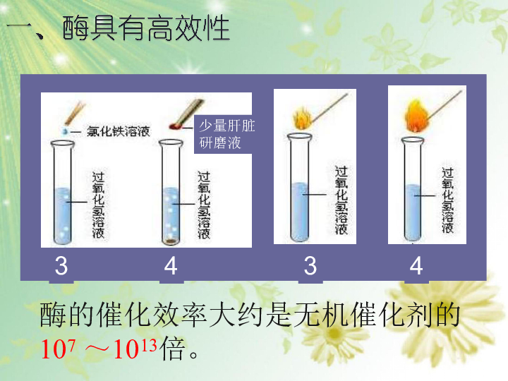 人教版高中生物必修一5.1.2酶的特性 课件共28张PPT