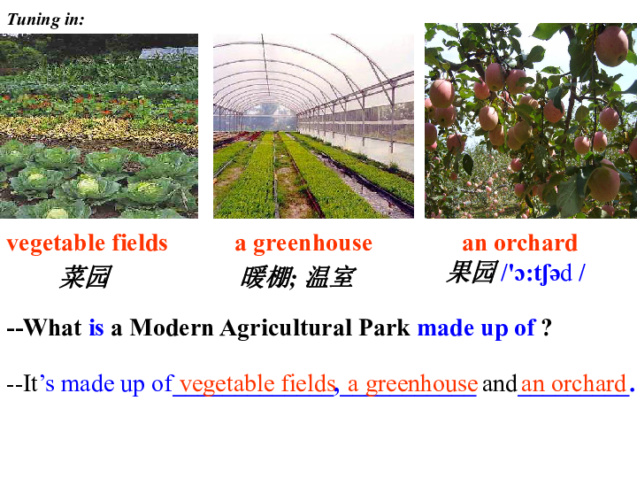Lesson 1 A Visit to an Agricultural Park 课件（13张PPT）