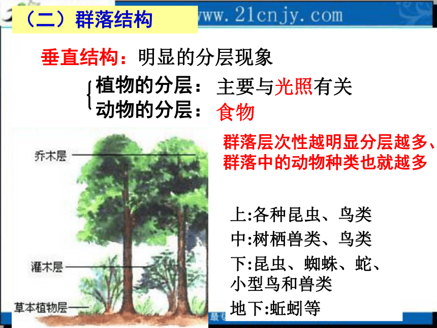 生物：5.2《植物的生长型和群落结构》课件（1）（浙科版必修3）