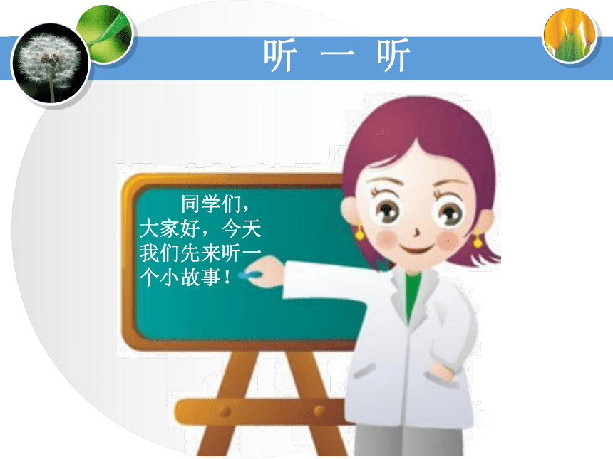 2016秋湘教版科学三上1.1《校园寻宝》ppt课件